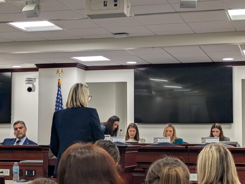 Bill to designate domestic terrorist organizations advances in Florida House