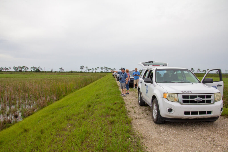 Now hitting deadline, Florida flunks Everglades pollution cleanup