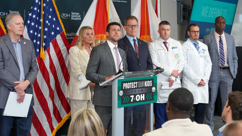 The Florida Cabinet races are set for November