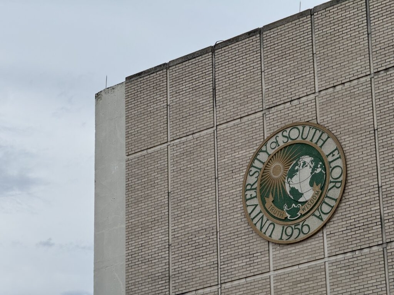 Florida professors fear being targeted or cancelled, faculty review shows