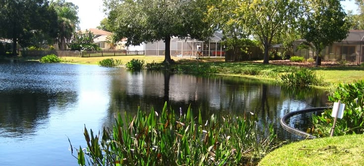 New Florida stormwater rules don’t fix our pollution problem
