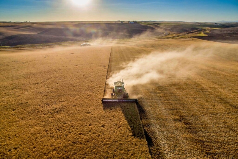 The No. 1 problem facing Washington farmers