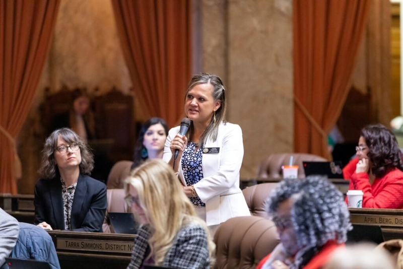 Ethics panel: WA lawmaker broke no rules trying to thwart challenge from fellow Democrat