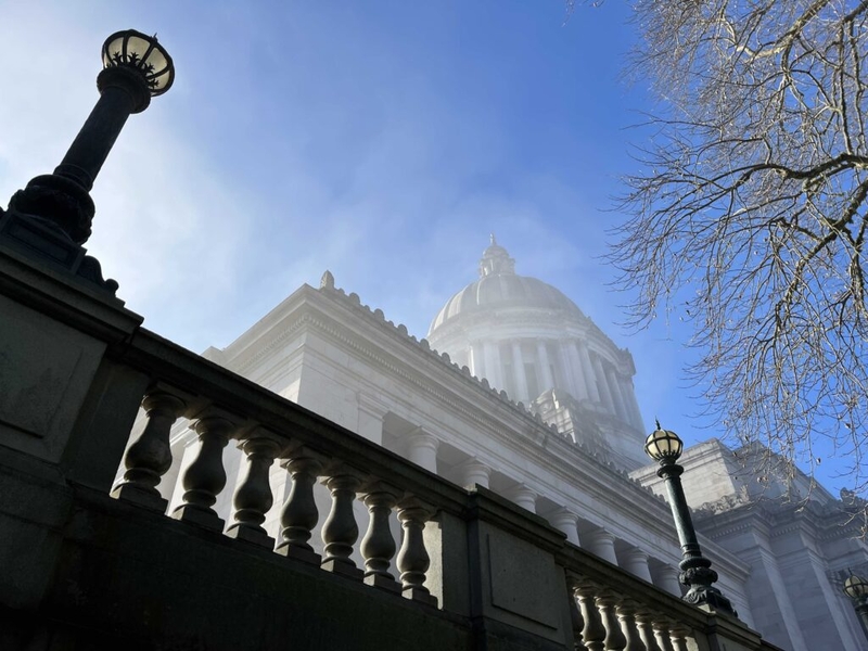 The bills that didn’t survive the WA Legislature’s first major deadline