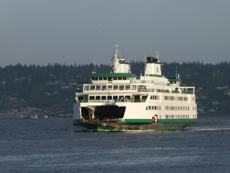 Commute chaos as WA ferries cancels dozens of runs as workers out sick