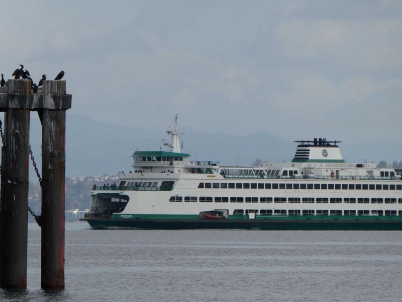 Gov. Ferguson calls for salary survey after WA ferry sickout