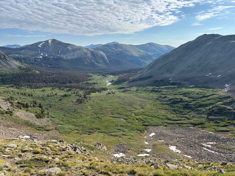 Dismantling the US Forest Service harms public lands and communities