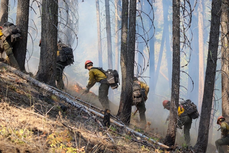 Cost to battle 20 wildfires in WA has topped $200M