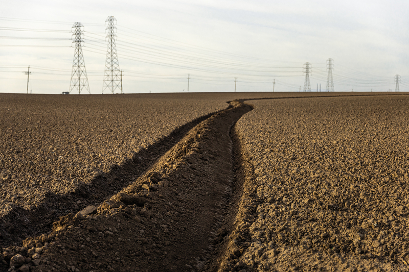 Dangerous herbicide used on California crops banned