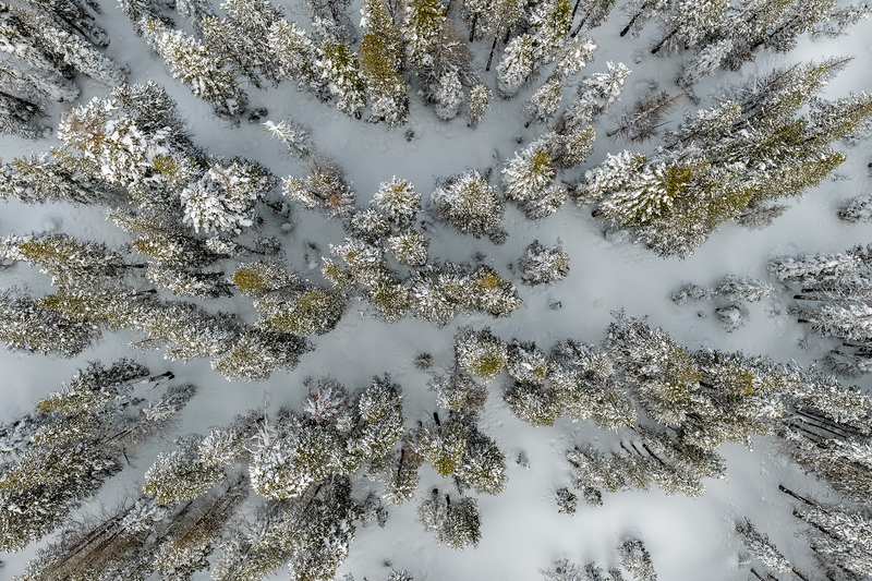 Sparse snowpack in California fuels concern over fast-approaching fire season