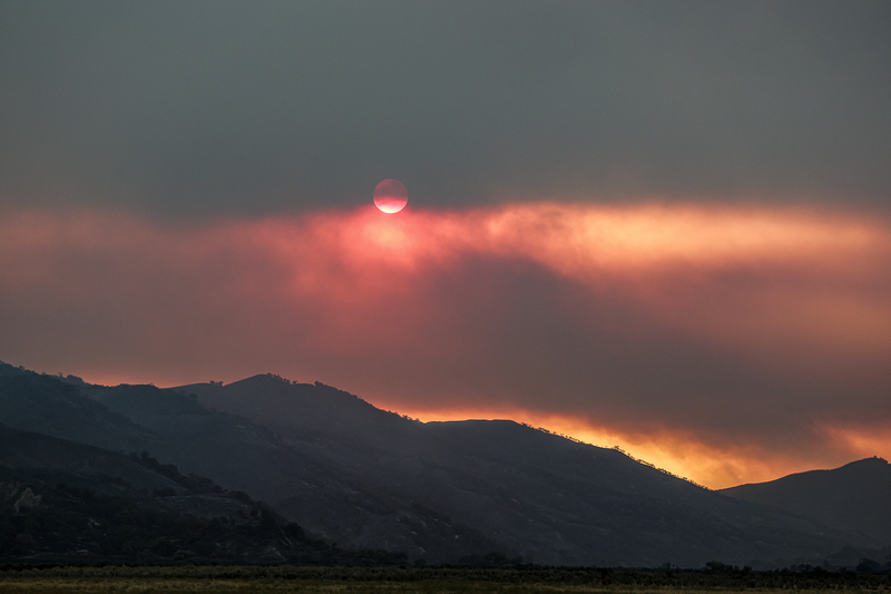 Forest fires follow roads. The Trump administration wants to build more