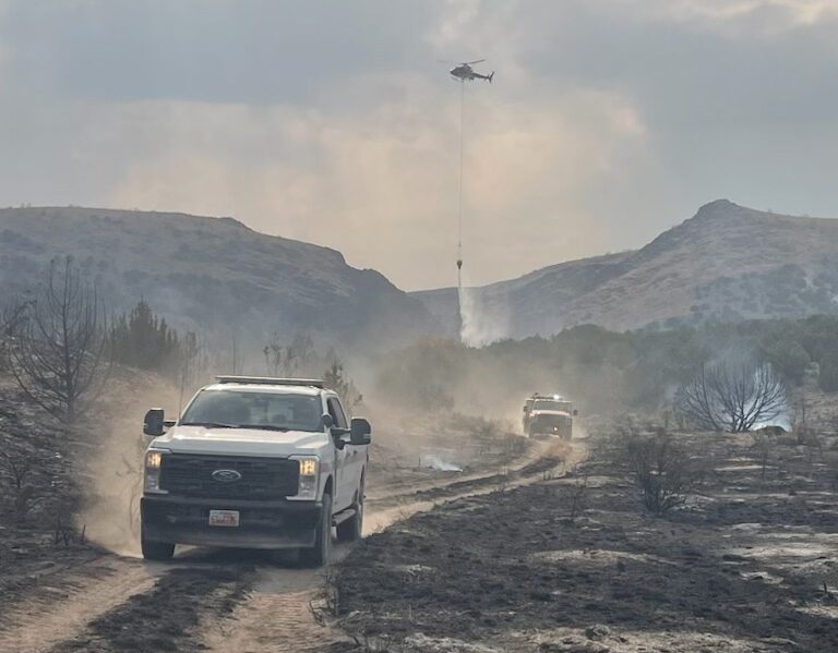 Utah expected to spend almost $12 million fighting wildfires in 2024 ...