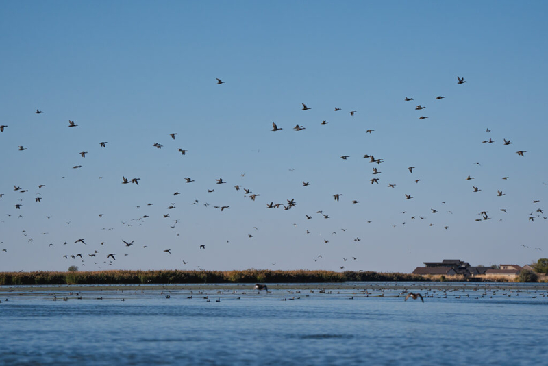 What do you want to know about the Great Salt Lake?