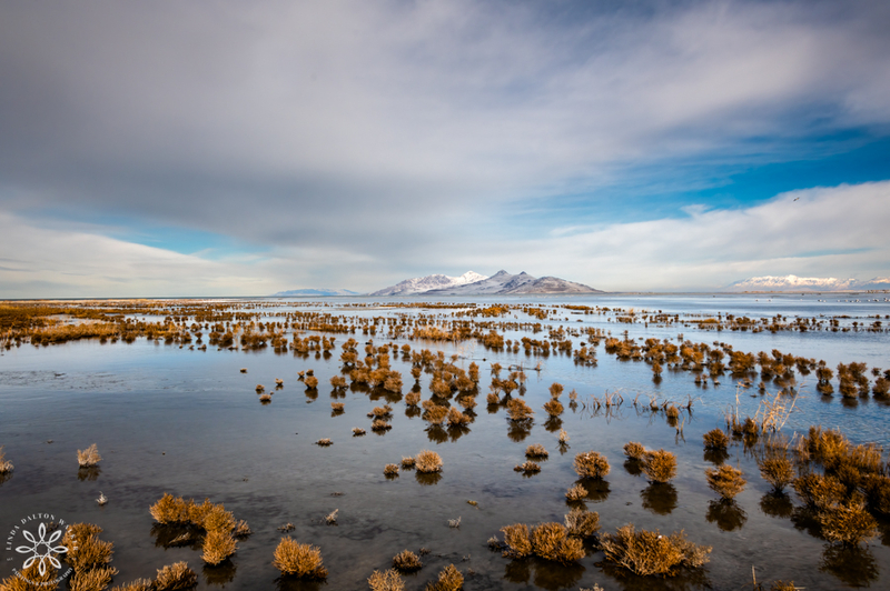 Water pilgrimage: Where the rivers end