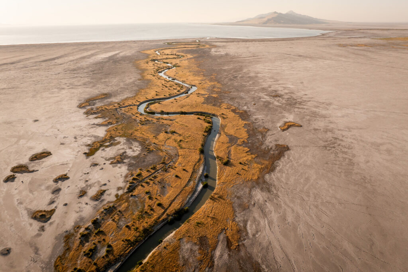 With eyes on the Great Salt Lake, water conservation advocates will remove Governor’s Mansion turf