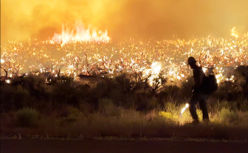 ‘No moisture in sight’: Conditions fueling 48,000-acre Monroe Canyon Fire expected to worsen