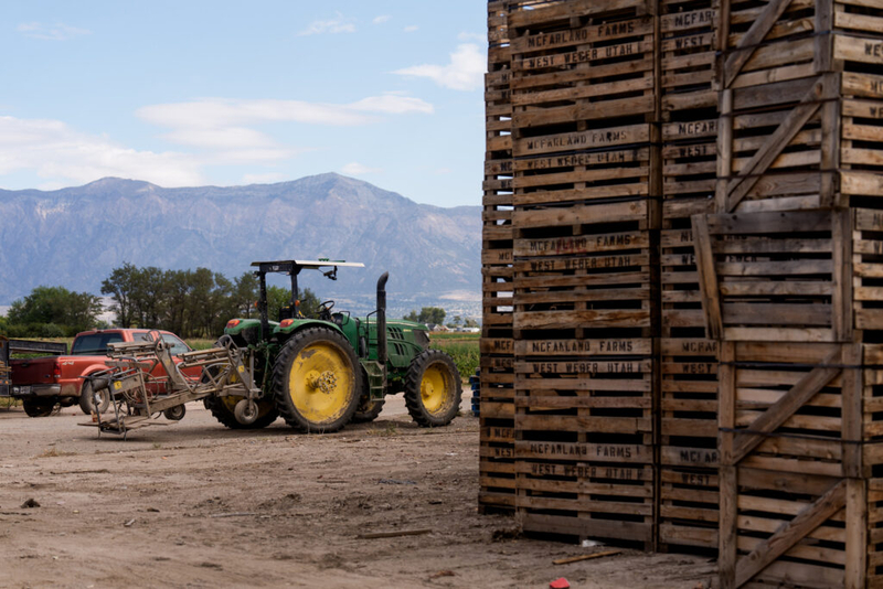 Cox issues emergency declaration over crops lost to unseasonal weather