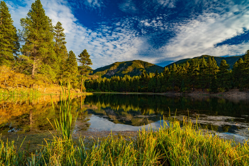 Forest Service headquarters to relocate to Salt Lake City in major restructuring plan