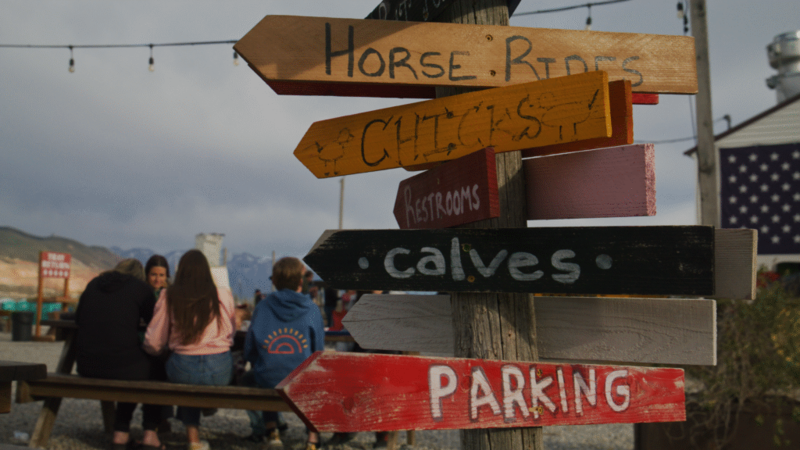 Agritourism is growing in Utah but it hasn’t reached its full potential, new study says