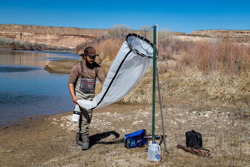 New testing has Utah worried about zebra mussel spread in the Colorado River  