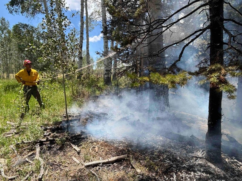 More Utah forests are burning than ever before. Here’s why that matters