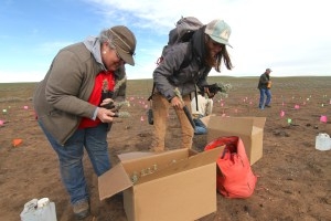 Restoring Wyoming’s largest 2026 fire scar, one sagebrush seedling at a time