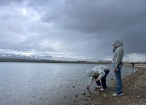 Students on the muddy shore of Ray Lake release rainbow trout fry to their new home on May 21, 2026, as rain falls on the water. Releasing the fish is the culmination of Trout Unlimited’s Trout in the Classroom program. (Katie Klingsporn/WyoFile)