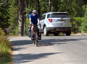 A cyclist rides the Moose-Wilson Road in Grand Teton National Park. (Angus M. Thuermer Jr./WyoFile)