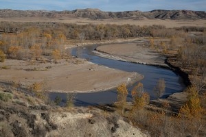 Bright colors and bold stripes: Meet the lesser known denizens of Wyoming’s prairie streams