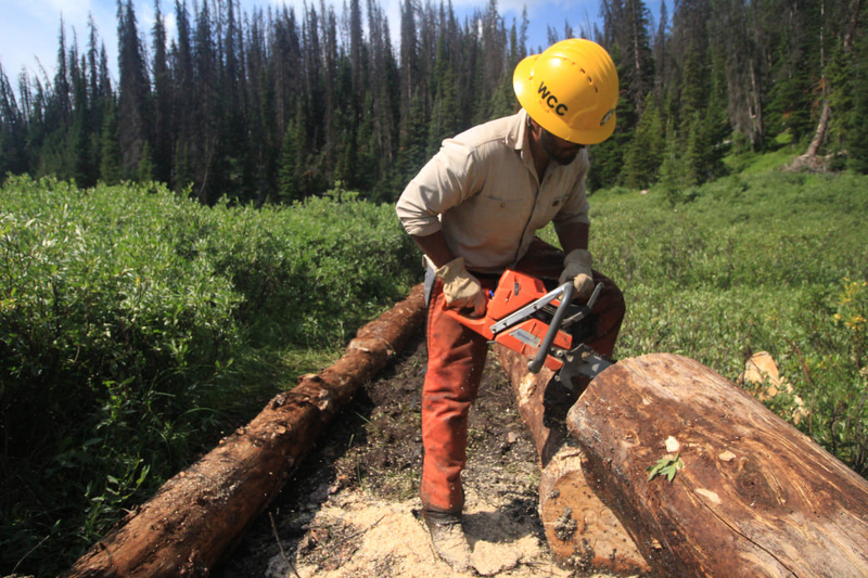 DOGE cuts to Americorps ‘a devastating blow to the state of Wyoming’