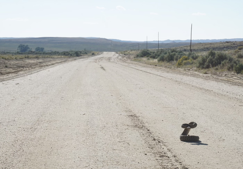 Wyoming rattler road trip