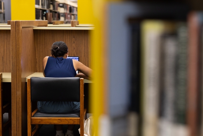 Texas directs public universities to identify undocumented students