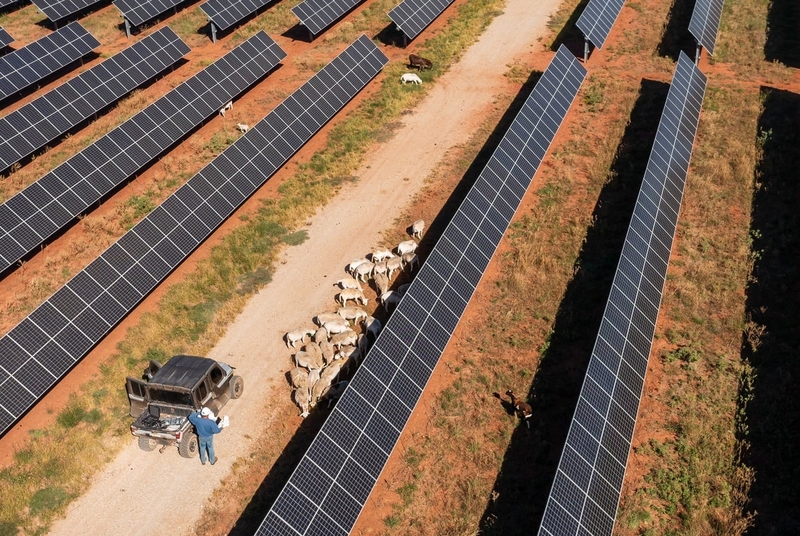 Renewable energy companies face little regulation in Texas. A state lawmaker wants to change that.
