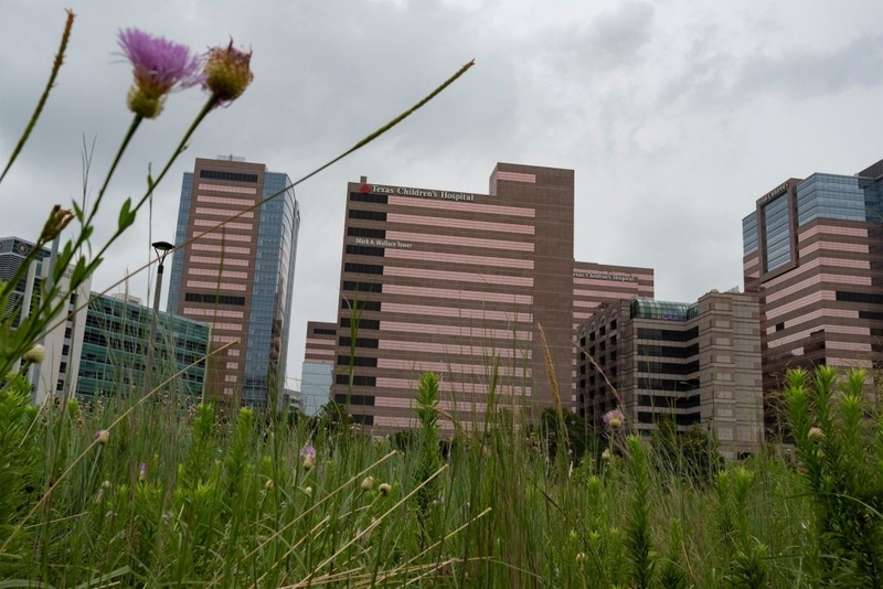 New details released on Texas Children’s Hospital’s planned detransition clinic