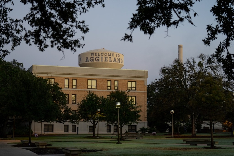 Texas universities deploy AI tools to review and rewrite how some courses discuss race and gender