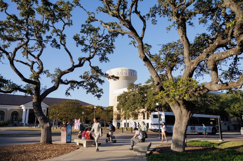Gov. Greg Abbott wants Texas universities, schools to disclose information on H-1B visa hirings