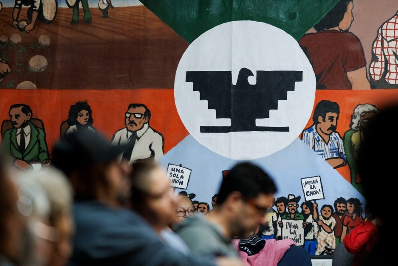 Members of pro-immigration group hit by Trump crackdown on immigration
