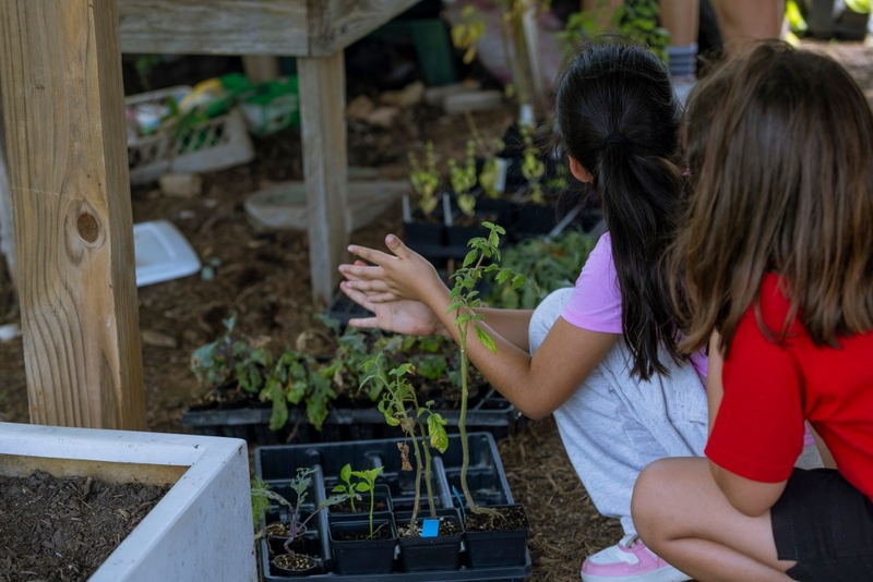 How Cherokee farming traditions are transforming one Texas school