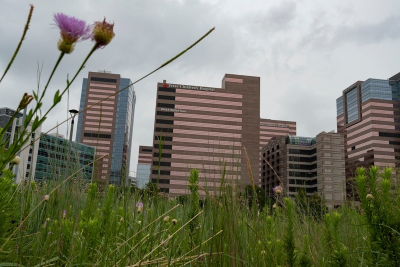 Settlement: Texas Children’s Hospital must create country’s first clinic to reverse transgender care