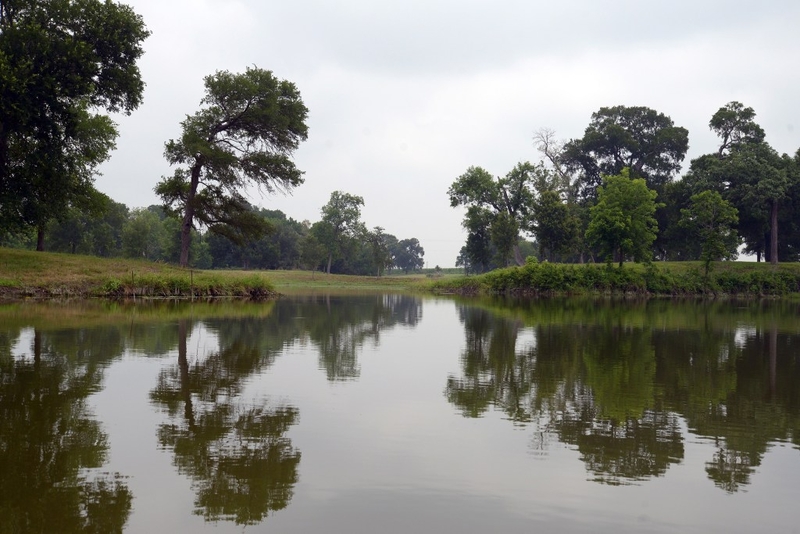 Institute launches in East Texas to address the region and state’s largest water challenges