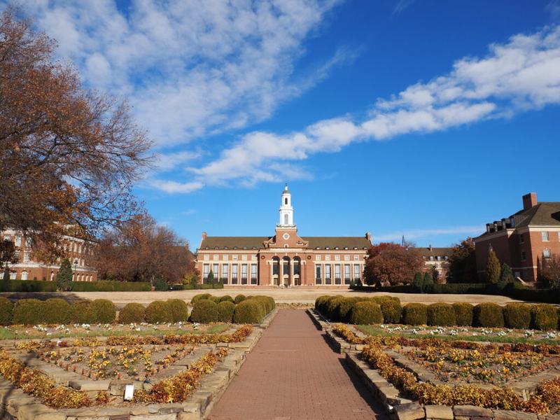 New chief financial officer named at OSU
