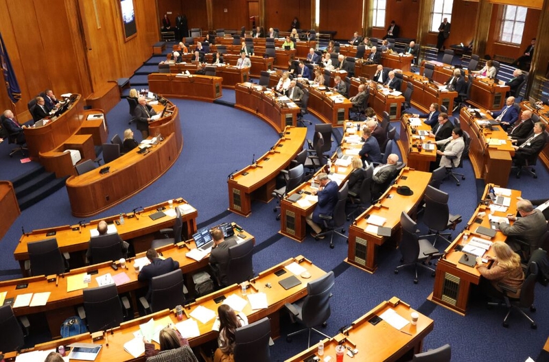 Lawmakers receive committee assignments for 2025 legislative session
