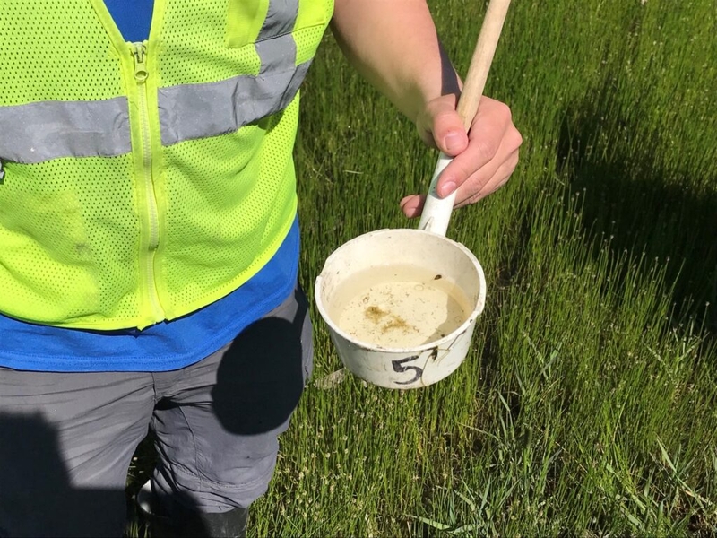 North Dakota sees first West Nile death in 2026