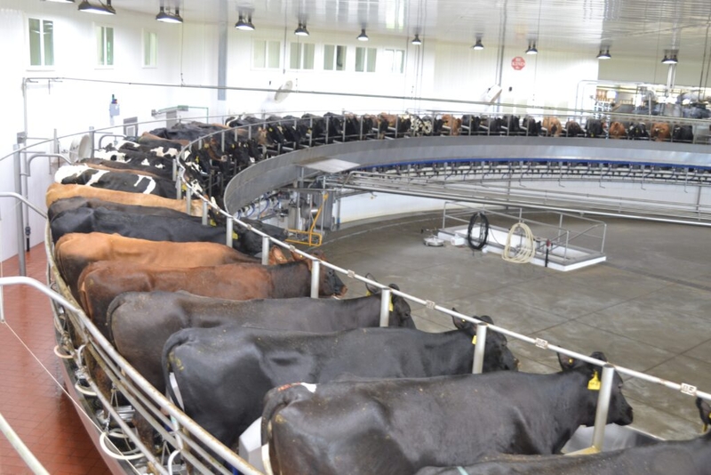 Landowner group sues over Wahpeton water sale for large dairy