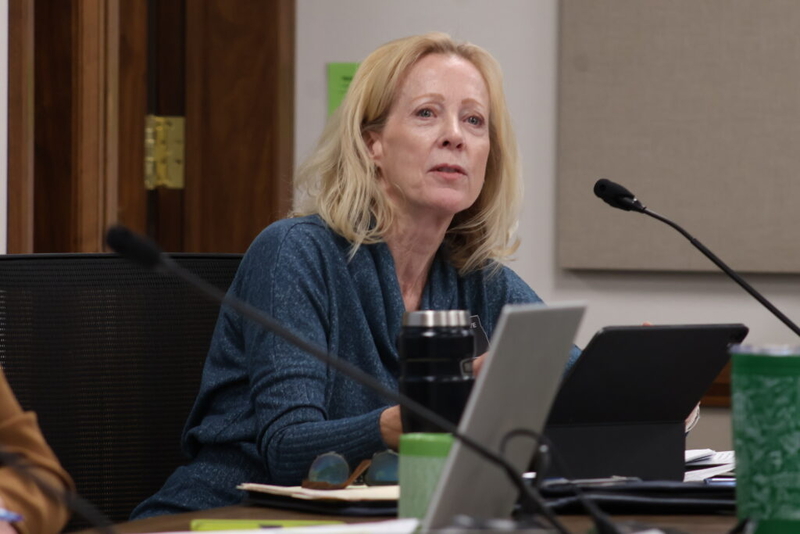 Fargo lawmaker Liz Conmy dies in Minnesota plane crash