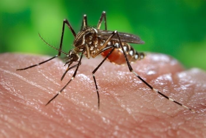 North Dakota reports first case of West Nile virus in 2026