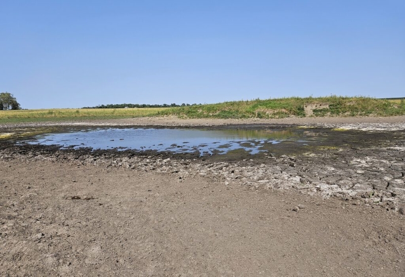 North Dakota expands drought assistance for livestock