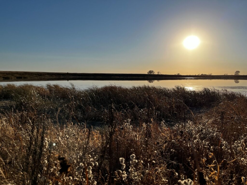 South Dakota wetlands are under threat from the EPA’s rollback