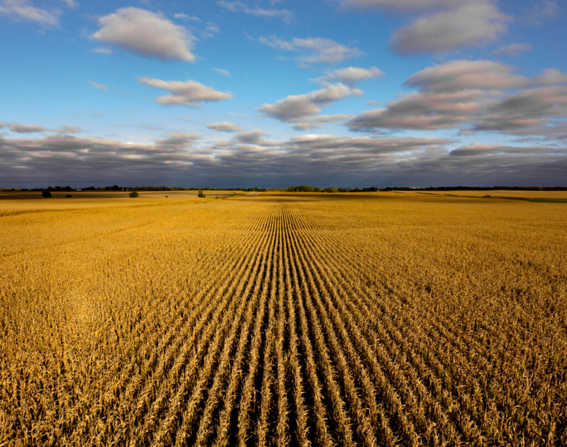Ethanol touted at U.S. Senate hearing for possible national clean fuels standard