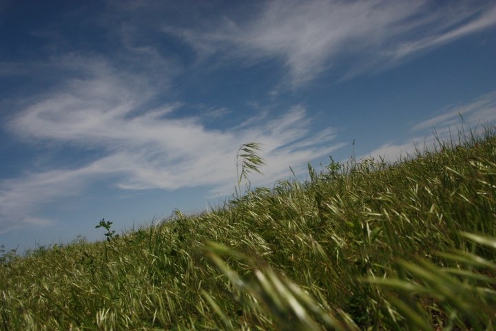 Three SD projects receive a combined $51 million for climate-smart agriculture
